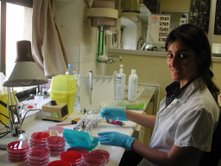 Laia Fernández in the lab